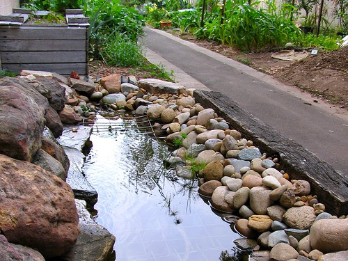 have been looking into aquaponics however, my mother doesn’t want ...