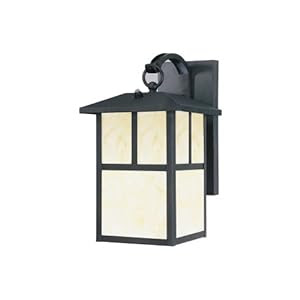 Amazon.com: Westinghouse Lighting 6482900 Energy Star Dusk-to-Dawn ...