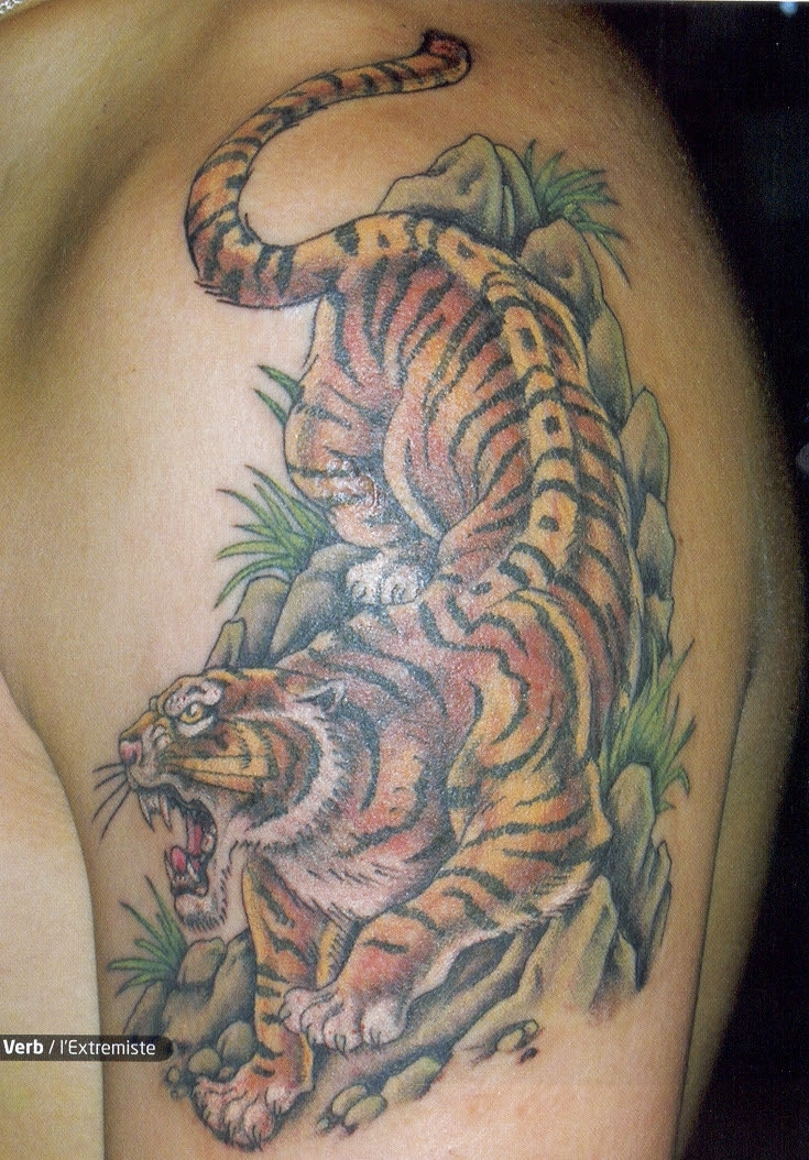 http://images2.fanpop.com/images/photos/2900000/Tiger-tattoos-2975523-735-1054.jpg