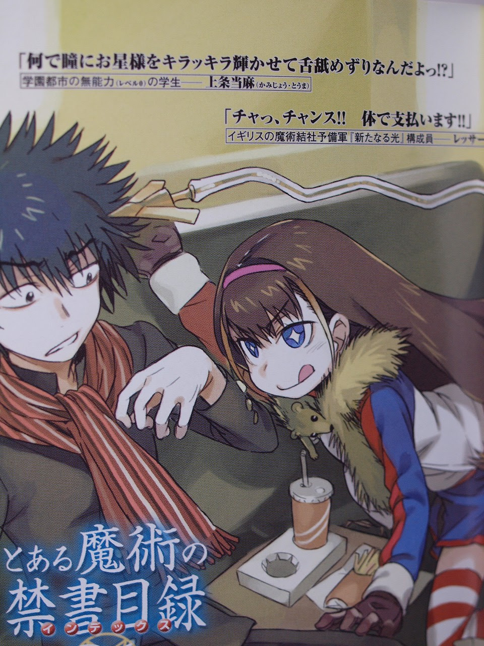 とある魔術の禁書目録 21巻レビュー 幹事の部屋