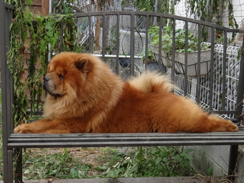 DSC01326