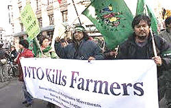 proteste contro il Wto proteste contro il Wto