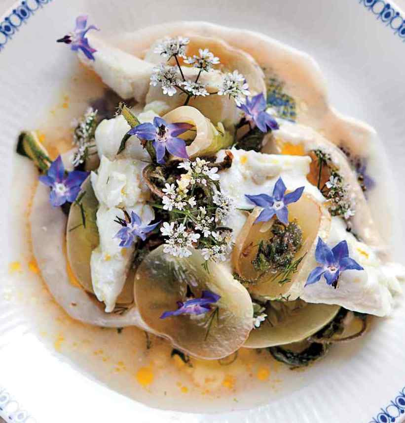 halibut