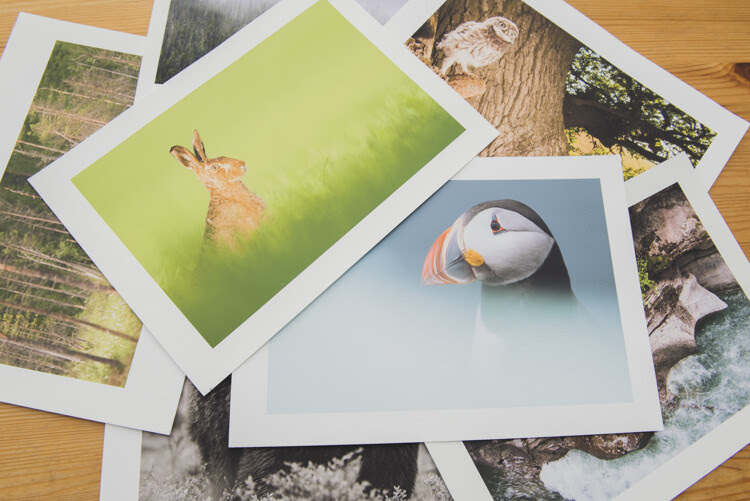 Creating prints as a final output