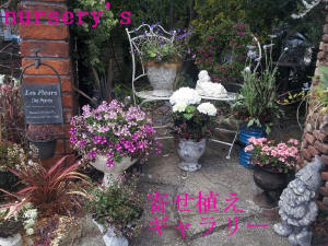 ナーセリーズ 熊本の大型総合園芸店 ナーセリーズ