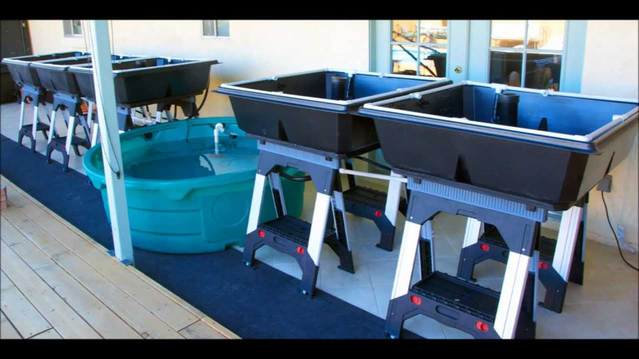 Aquaponics System-Building Instructions - YouTube