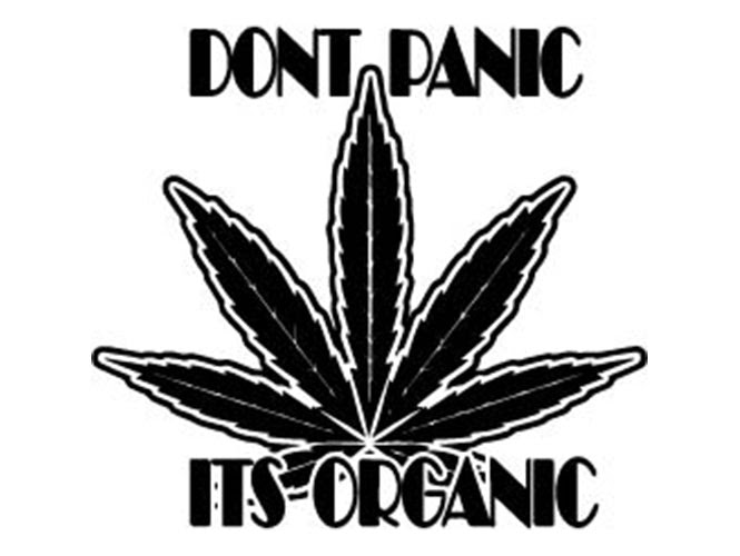 Free Free 176 Rick And Morty Weed Svg SVG PNG EPS DXF File