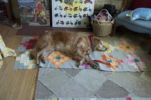 Susie helping