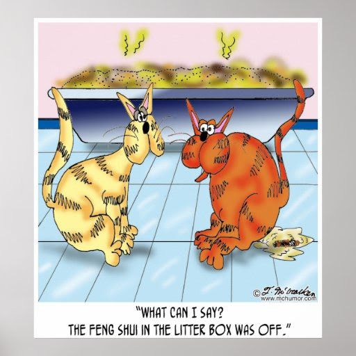 Feng Shui In The Litter Box Is Off Poster Zazzle Feng Shui In The Litter Box Is Off Poster Zazzle