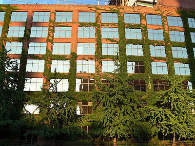 immeuble rouge et vert.jpg