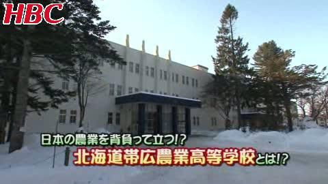 あぐり王国 放送内容