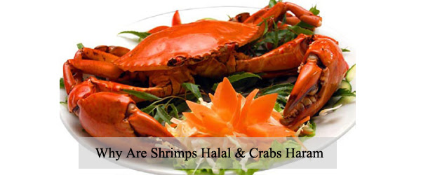 Cryptocurrency Halal Or Haram - Eid-ul Fitr Essen - Halal ...