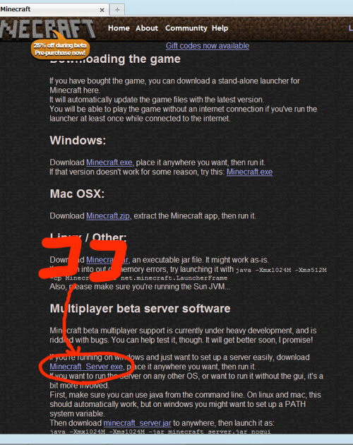 Minecraft マインクラフト で簡単にサーバーを立てる方法 Hamachi 気ままにゆっくりブログ