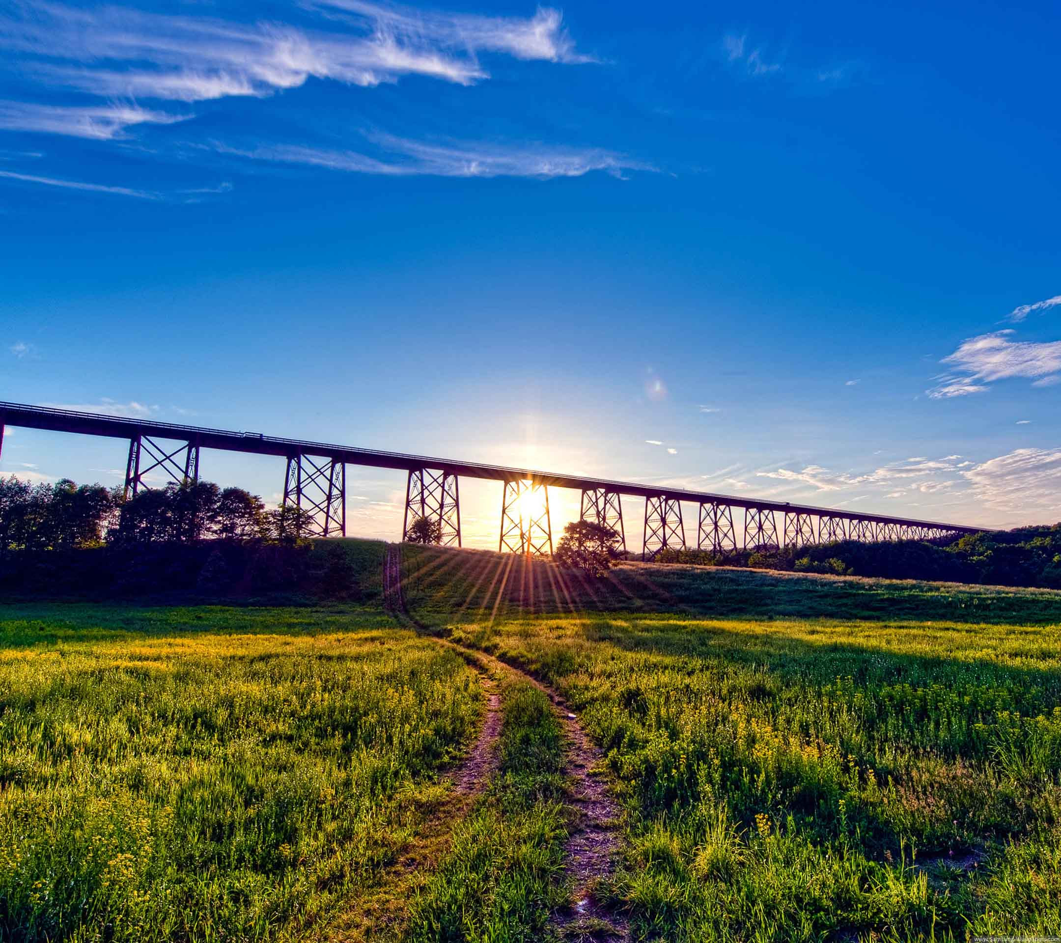 Padang Rumput Pemandangan Jembatan Wallpapersc Android