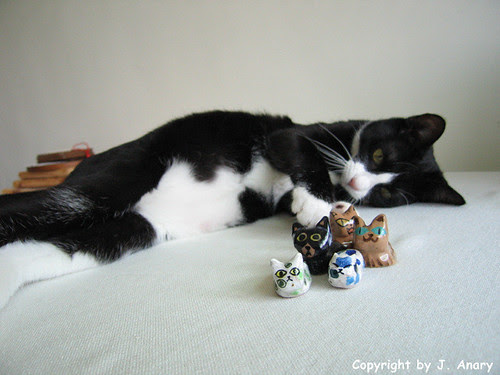 anan and pottery cats