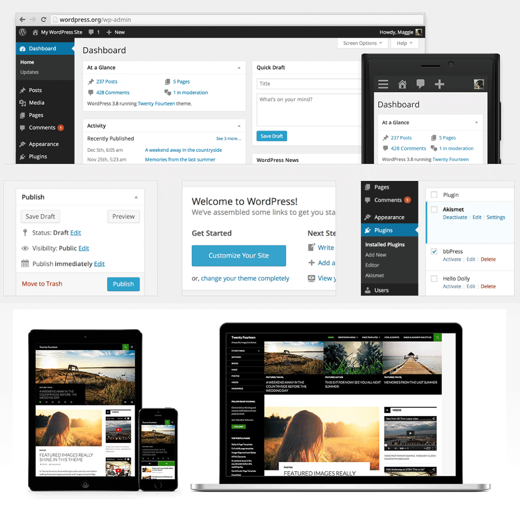 WordPress pour les Nuls - Comment bien dbuter? - WP Formation