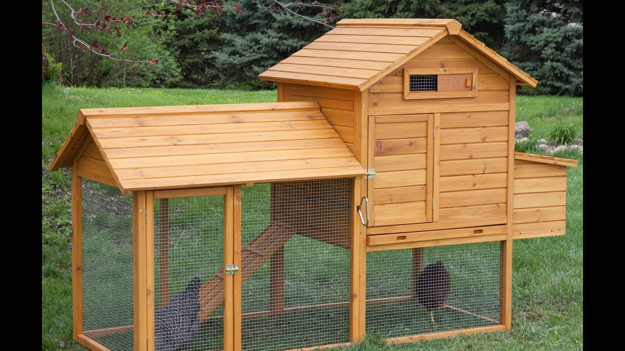 Top 10 Chicken Coops | hayneedle.com - YouTube