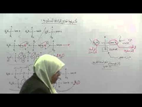 صورة