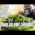  Sang kilong sakong kangkong ni angkong angkop kay King Kong.