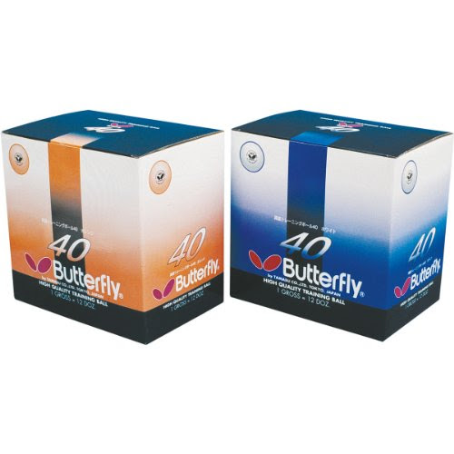 Butterfly Training Table Tennis Balls, 144-Pack (Orange)