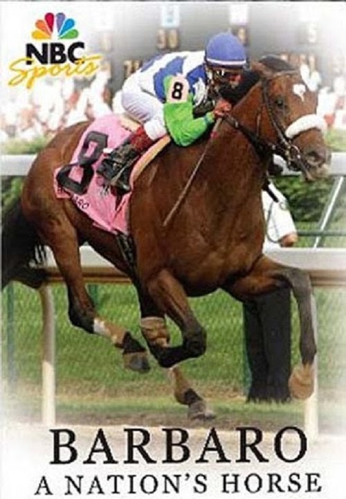 Assistir Barbaro: A Nation's Horse 2007 Filme completo Online Dublado
HD 1080p