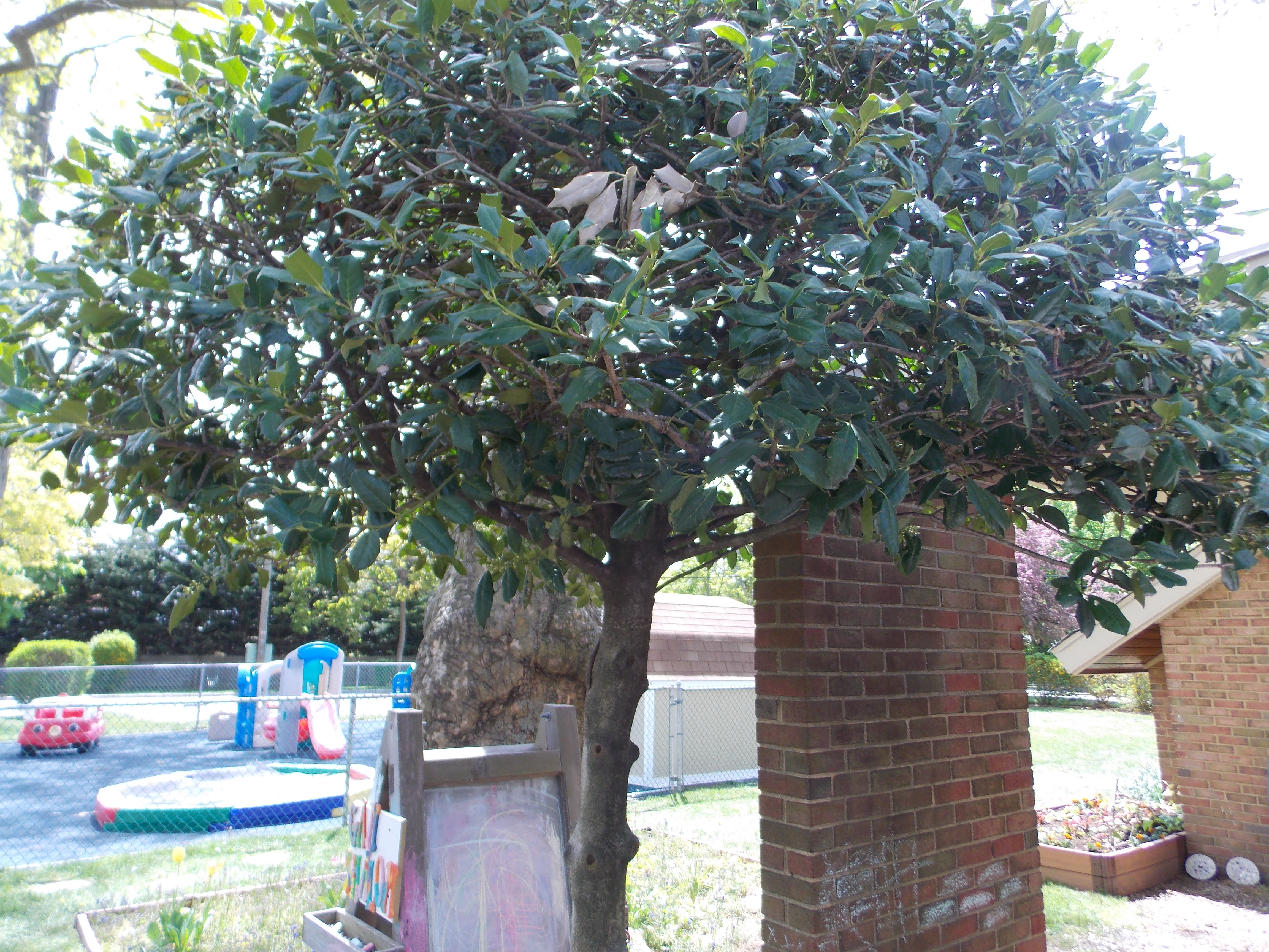 Inspiration ignites progression at Gan Shalom Nursery School: Day ...