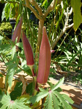 P1000133