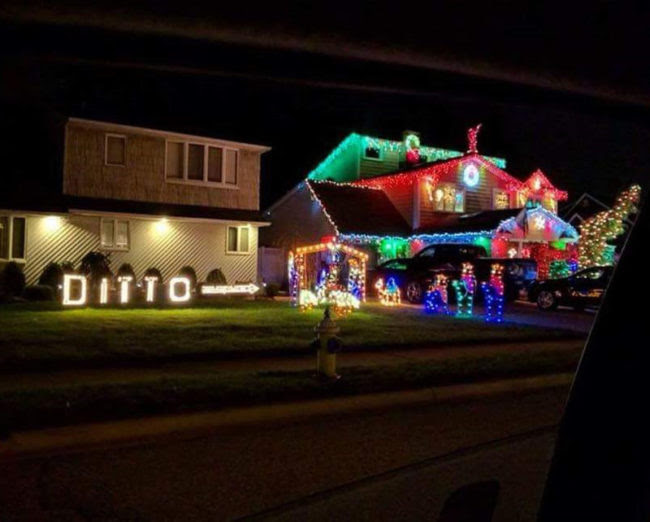 Laziness level: Expert