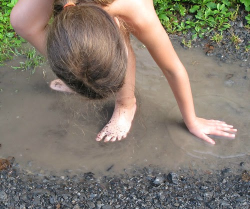 puddle loving