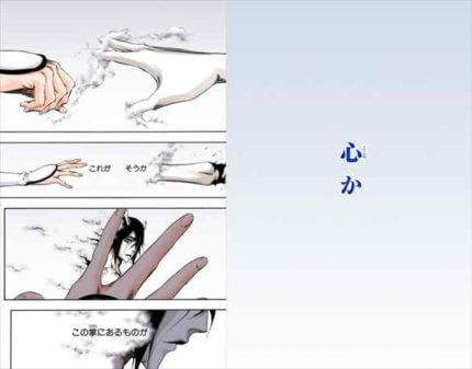 そうか これがそうか この掌にあるものが 心か Bleach
