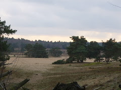 P1136887