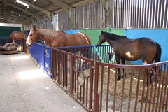 Holmbush Farm World