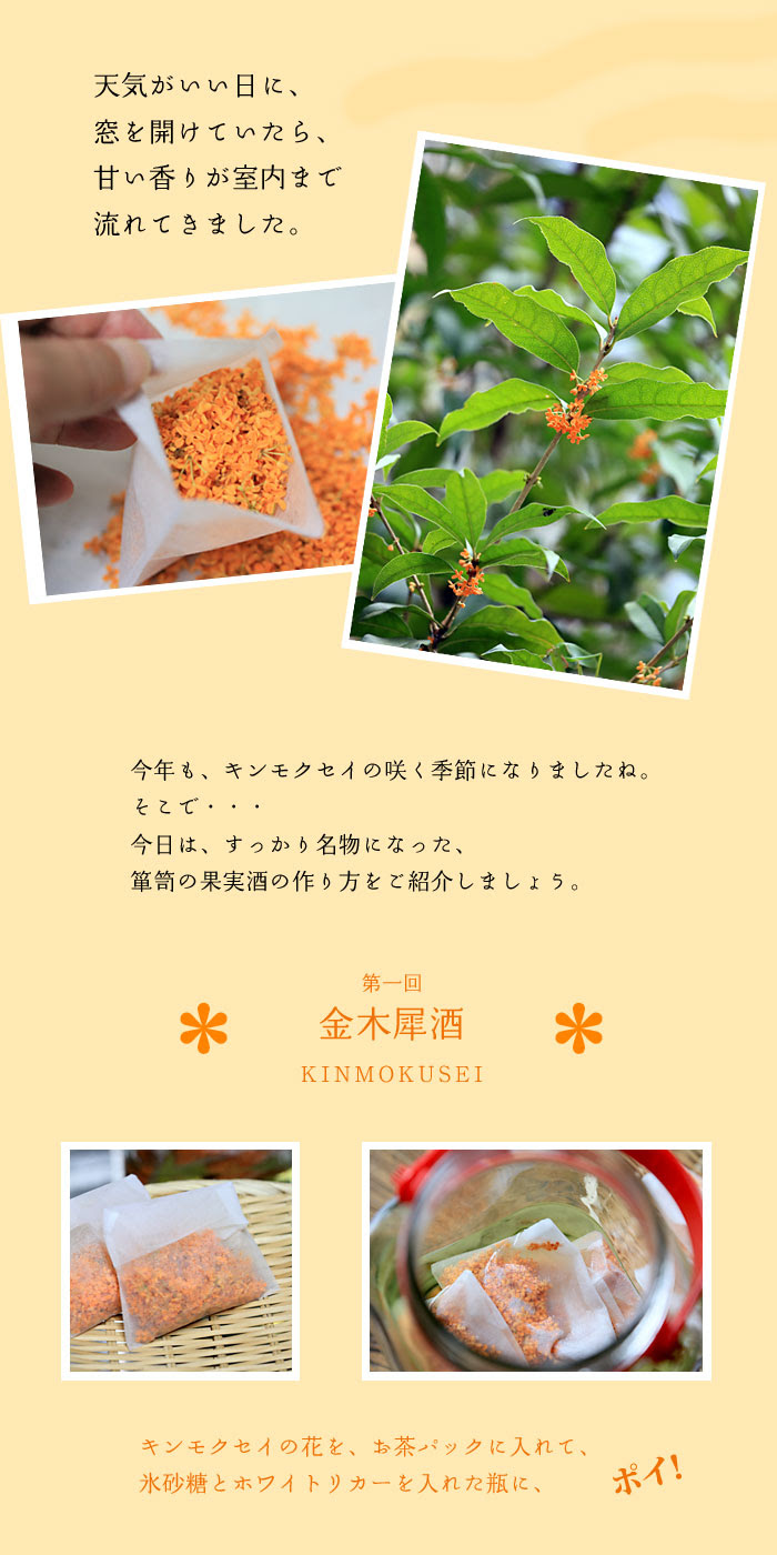 箪笥の果実酒 季節の味をお酒に 作り方のレシピは簡単です