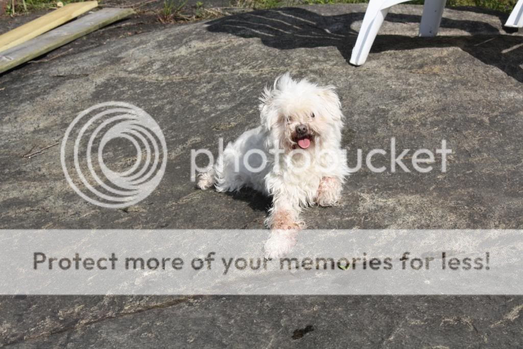 Photobucket