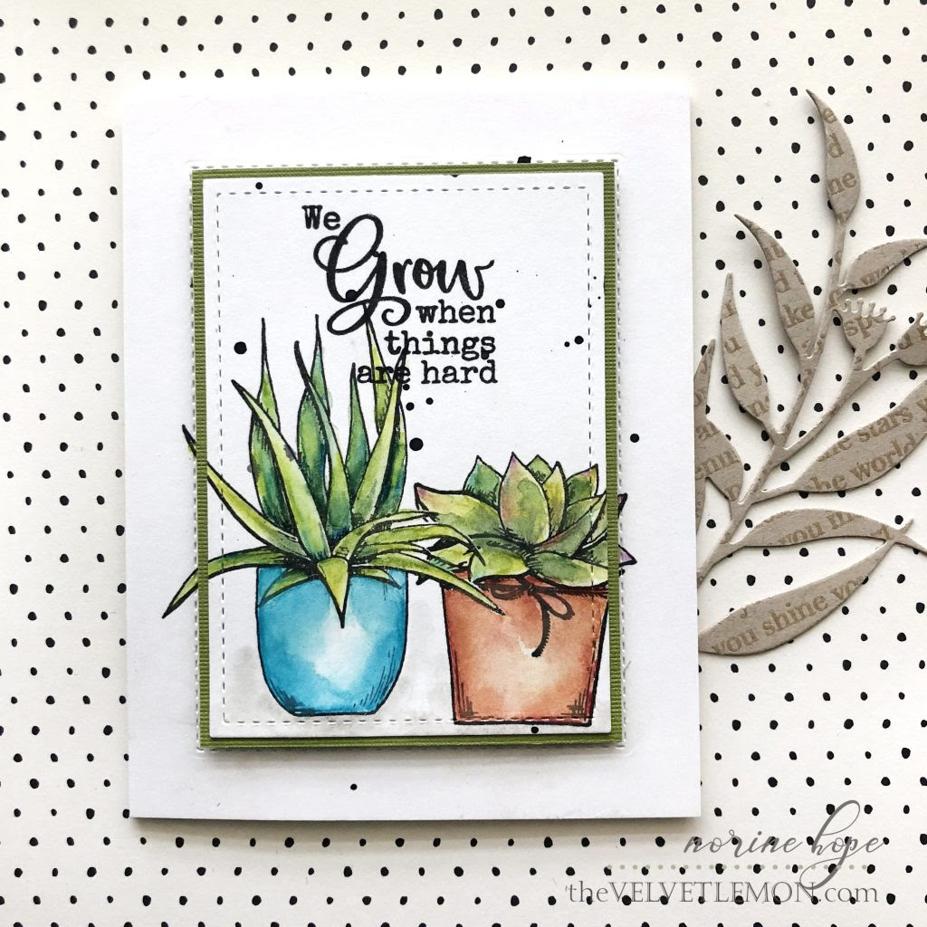 Paper Rose Studio Cactus Quotes And Cactus Wishes Cards Velvetlemon