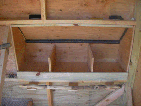  for building chicken coop nesting boxes | The Poultry Guide