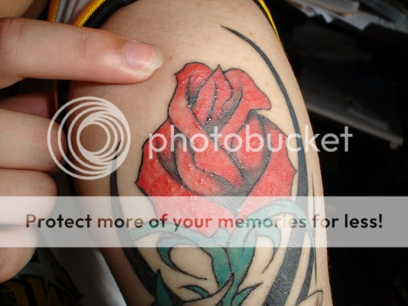 Nice Tattoo For Women Tattoo With Pictures Rose Tattoo Design Art Gallery 