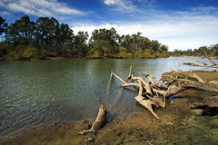 IMG_0724_Murray_River_Corowa