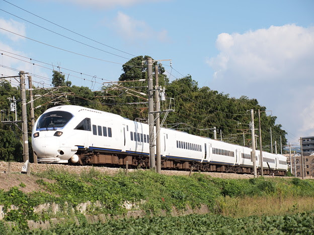 5系白いかもめ 白いソニック編成 写真共有サイト フォト蔵