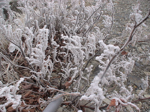 DSC00079.JPG