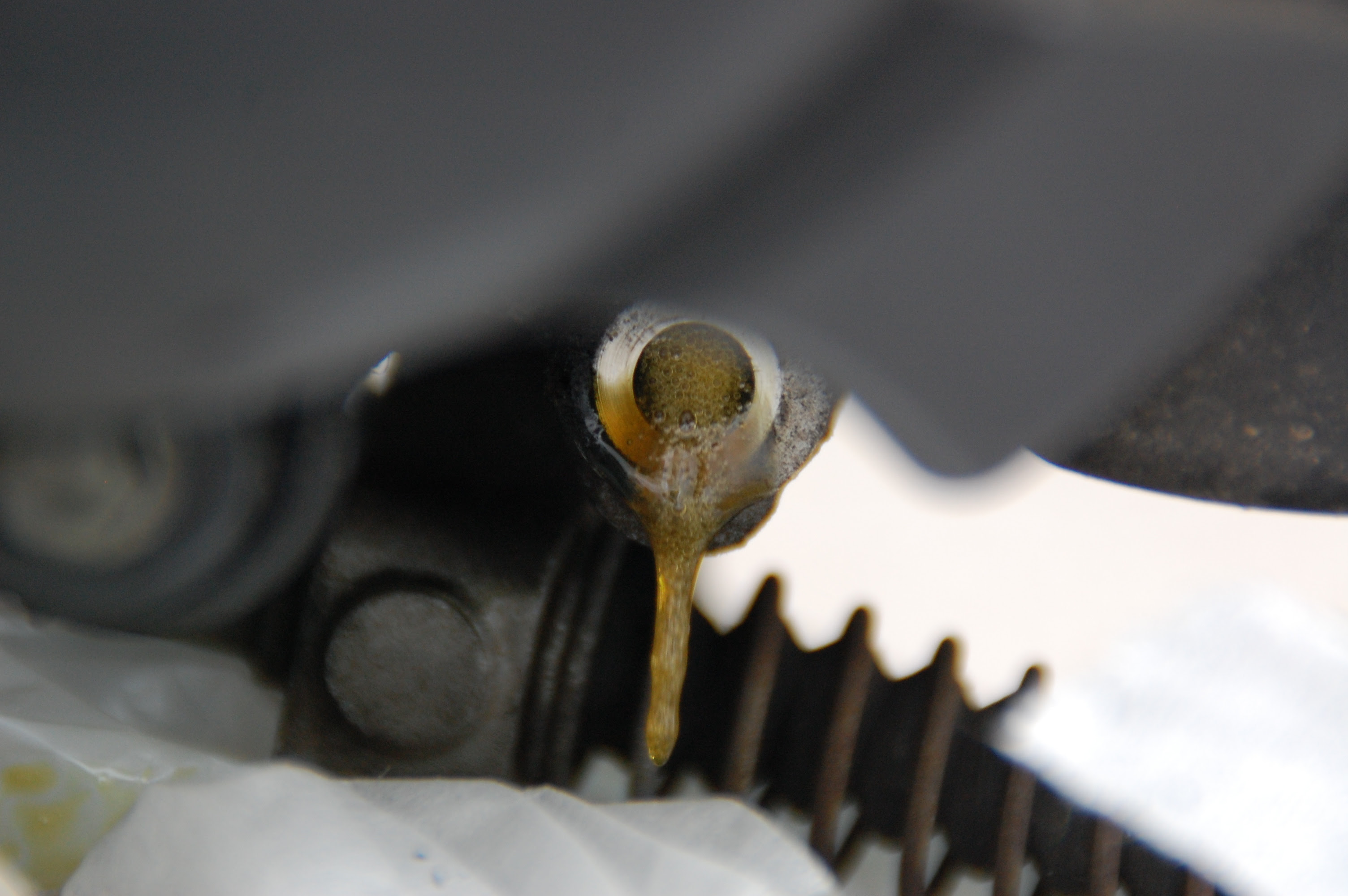 Tkの日記 Voxのギアオイル交換