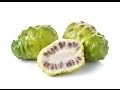 Noni 10 most important benefits of noni