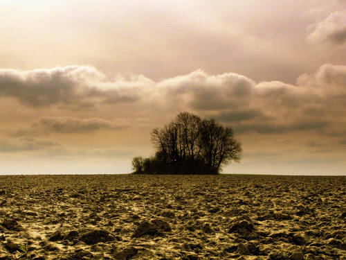 Terre! par mmarsupilami