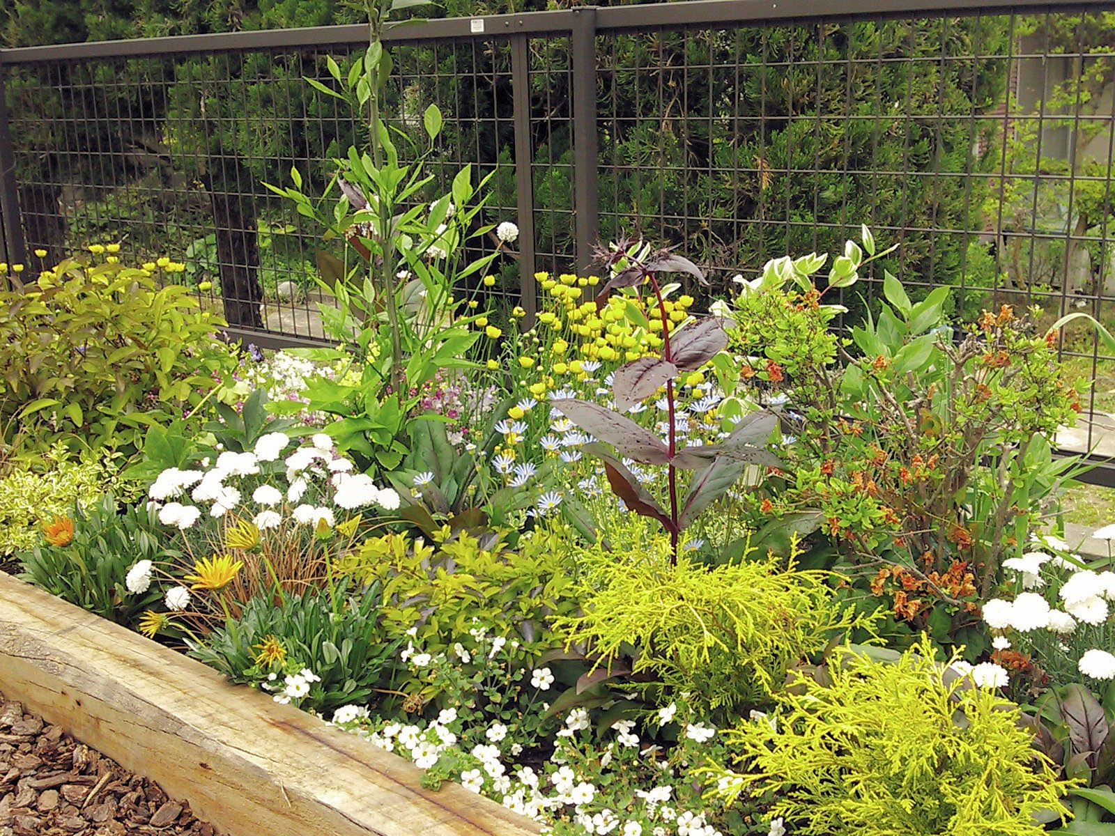 ナチュラル花壇１２のポイント ポールズガーデンスタイルの素敵な花壇の作り方