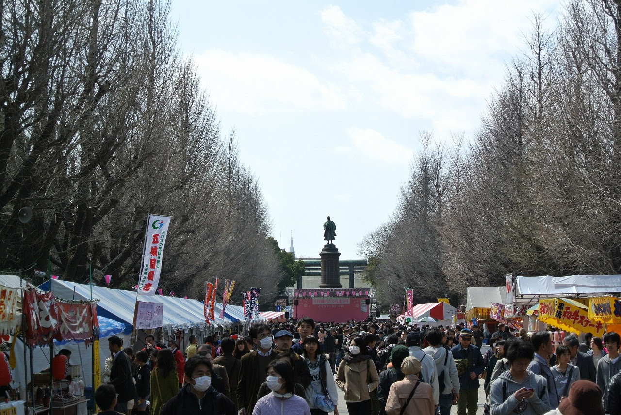 黄色いテント 千代田のさくらまつり 靖国神社の桜