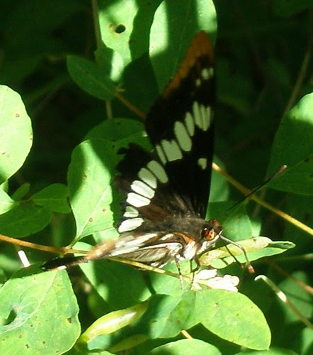 P7100021