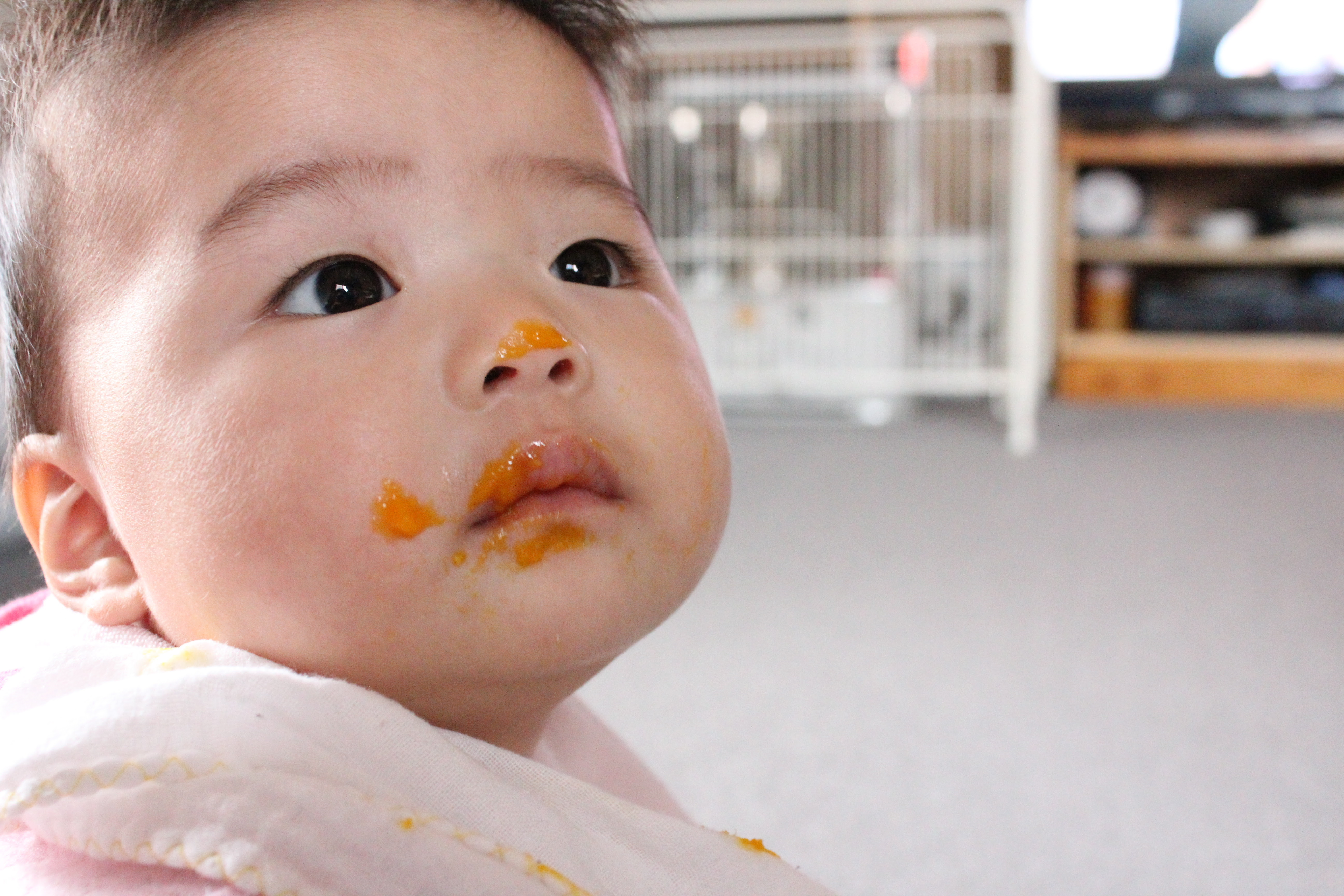 うちの子は食物アレルギー 本当の症状と間違えやすい症状 小児科オンラインジャーナル