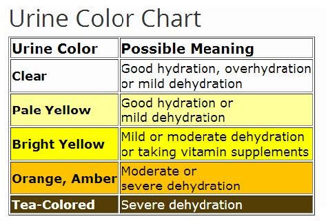 Compare test pad colour reactions at the specified time intervals using the dipstick analysis chart. hot weather athlete performance fei
