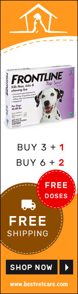 Get Free Doses of Frontline Top Spot For Dogs Online