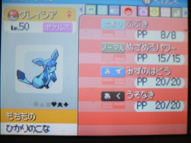 グレイシア すねかじりブログ